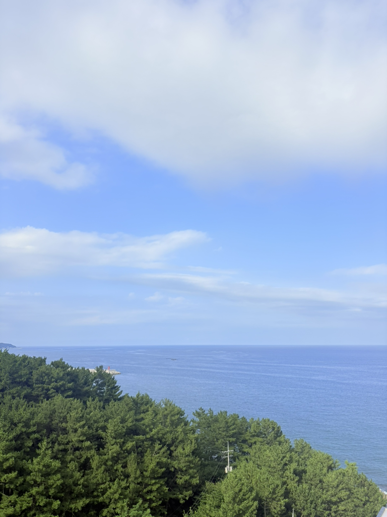 주식회사 청초수 6