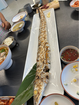 갈치포구 사진 8