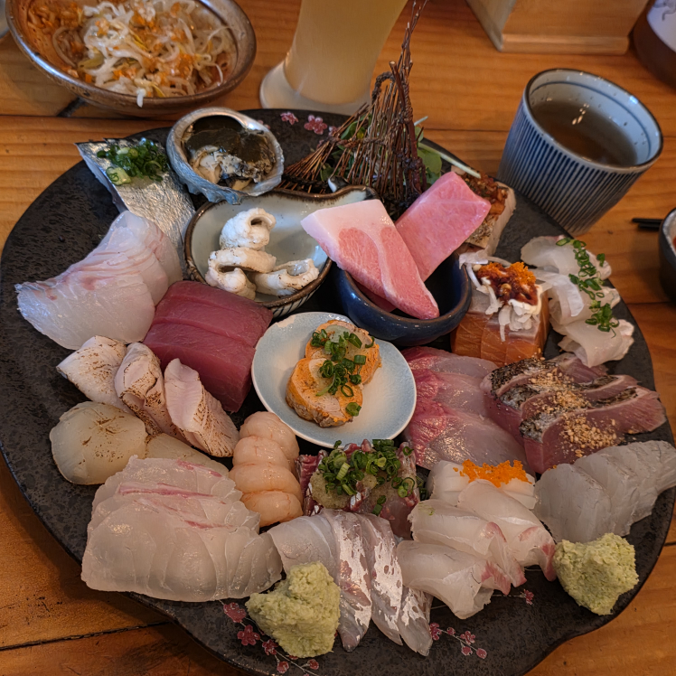 탄포포 사진