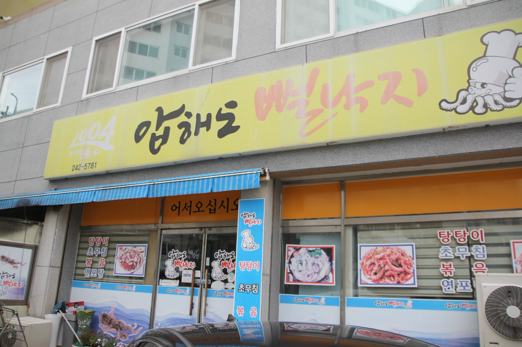 Aphaedoppeolnakji (압해도뻘낙지) 1