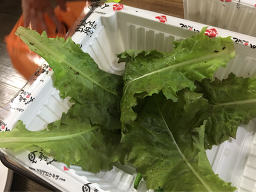 가장맛있는족발 김제점 1