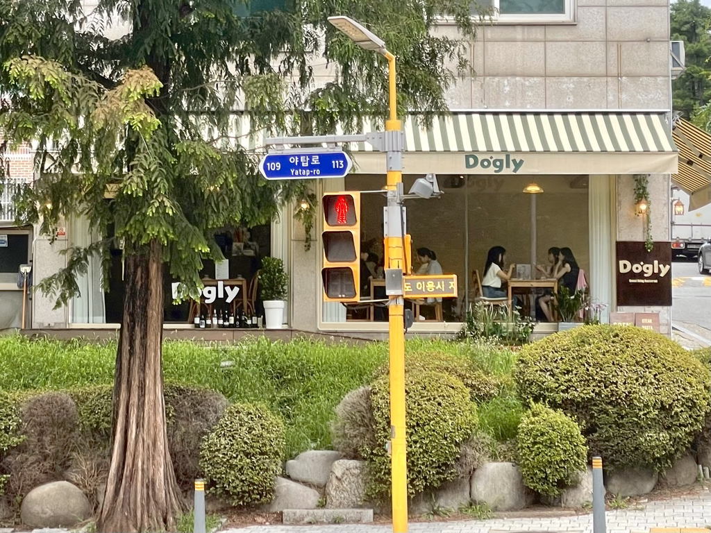 도글리 사진 3
