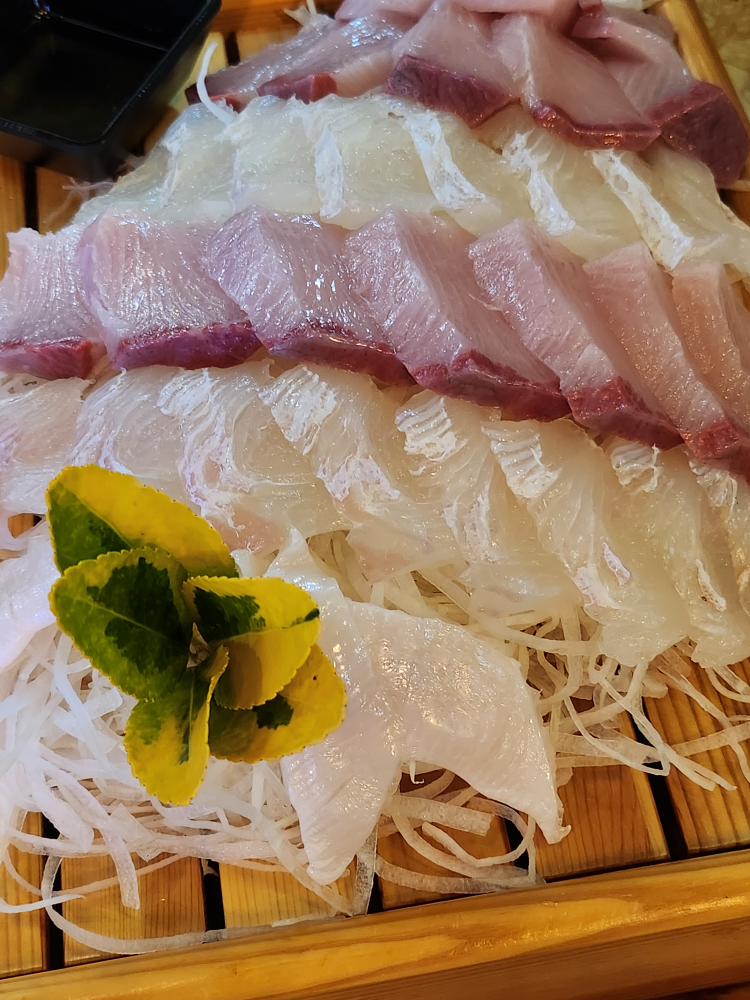 광어&연어 대표 사진
