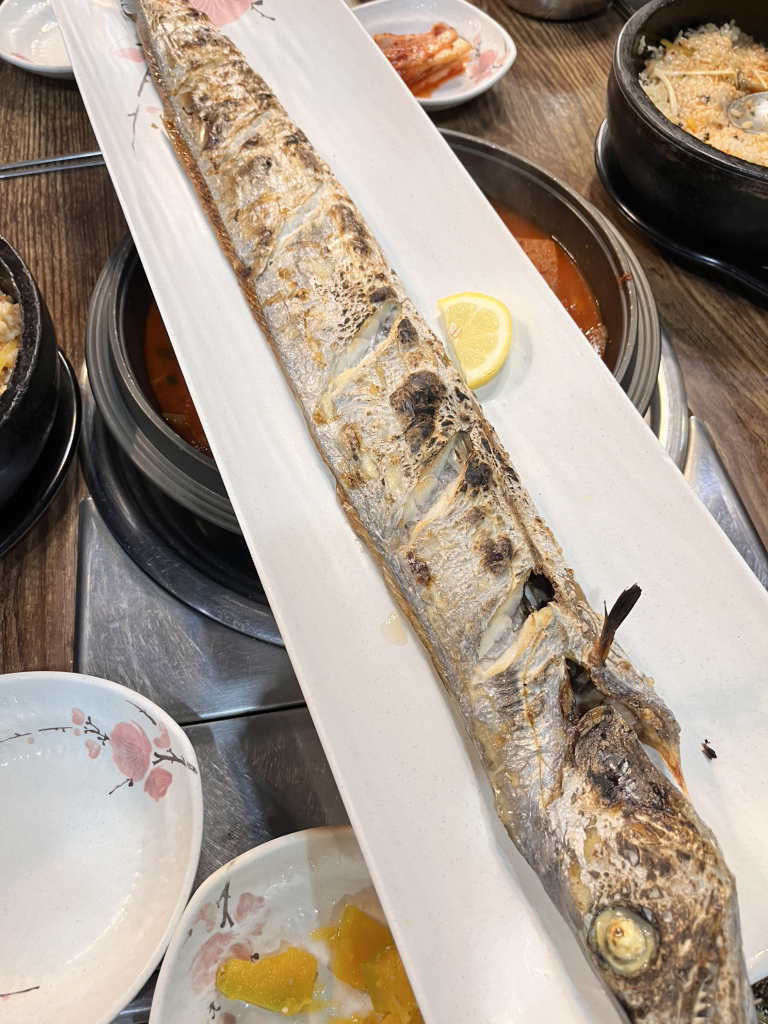 제주오름과바당 사진 3