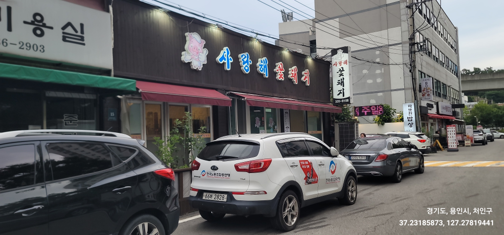 사랑해꽃돼지 4