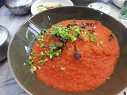 속초어가 5