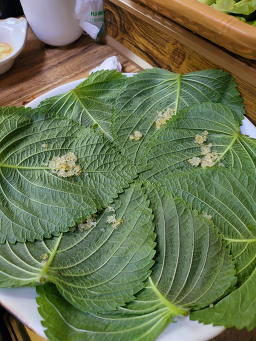 석순네쭈꾸미 3