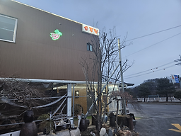 Galmaegolsundubu (갈매골순두부) 2