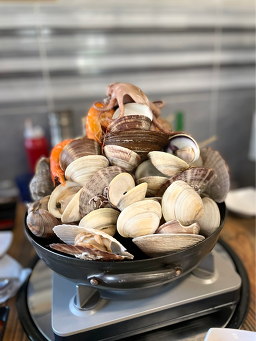 물찬조개 사진 4