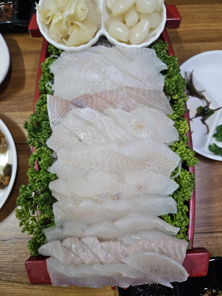 어류도감 사진 5