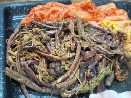 푸른바당돼지 대표 사진