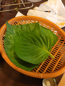 Imonekkomjangeo (이모네꼼장어) 2