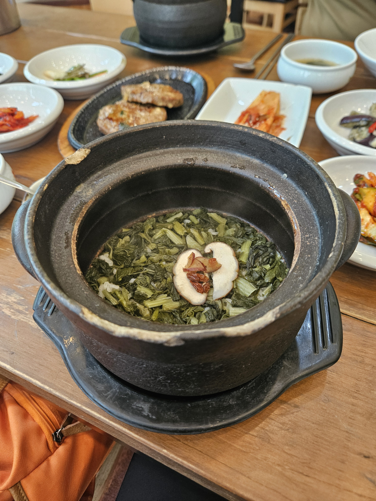 마이담 5