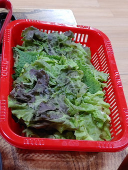 전원식당 6