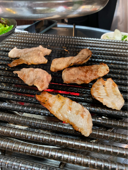 고릴라 사진 6