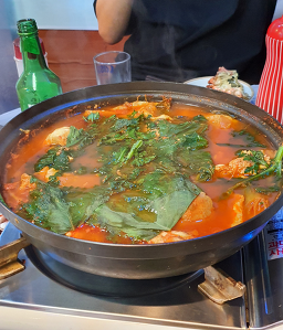 매화 5