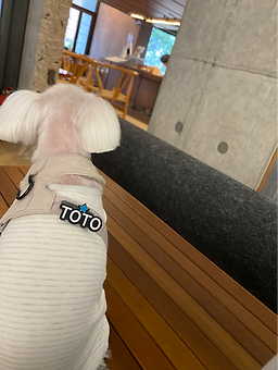 카페레꼴뜨 4