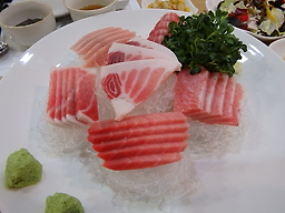 호조참치 5