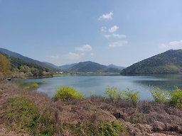 Geumsangomtang (금산곰탕) 2