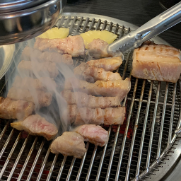 도투머리 사진 5