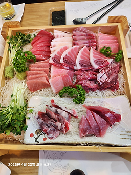 김진민의 참치인생 3