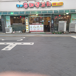 홍매반점 사진