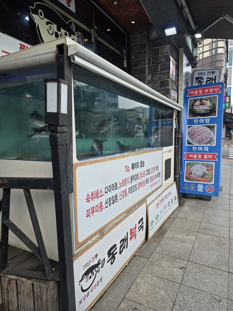 동래복국 동대문점 사진 2