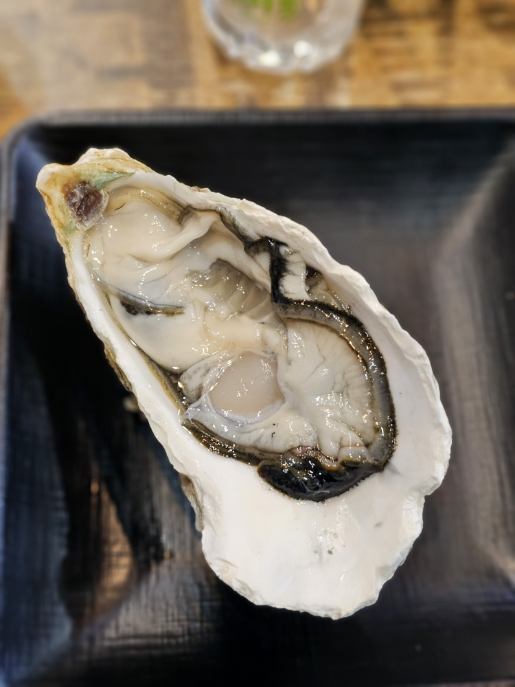 범수산 사진 2