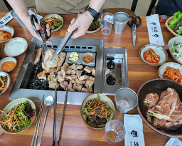 초원흑돼지 사진 6