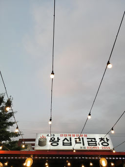 Wangsimnigopchang 6