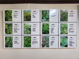 Chungmujangeogui (충무장어구이) 2