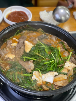 Cheongwonheukyeomso (청원흑염소) 3