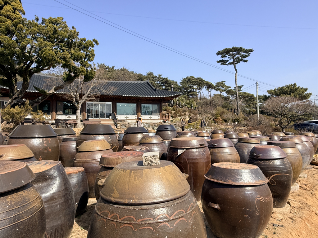 소박한밥상 6