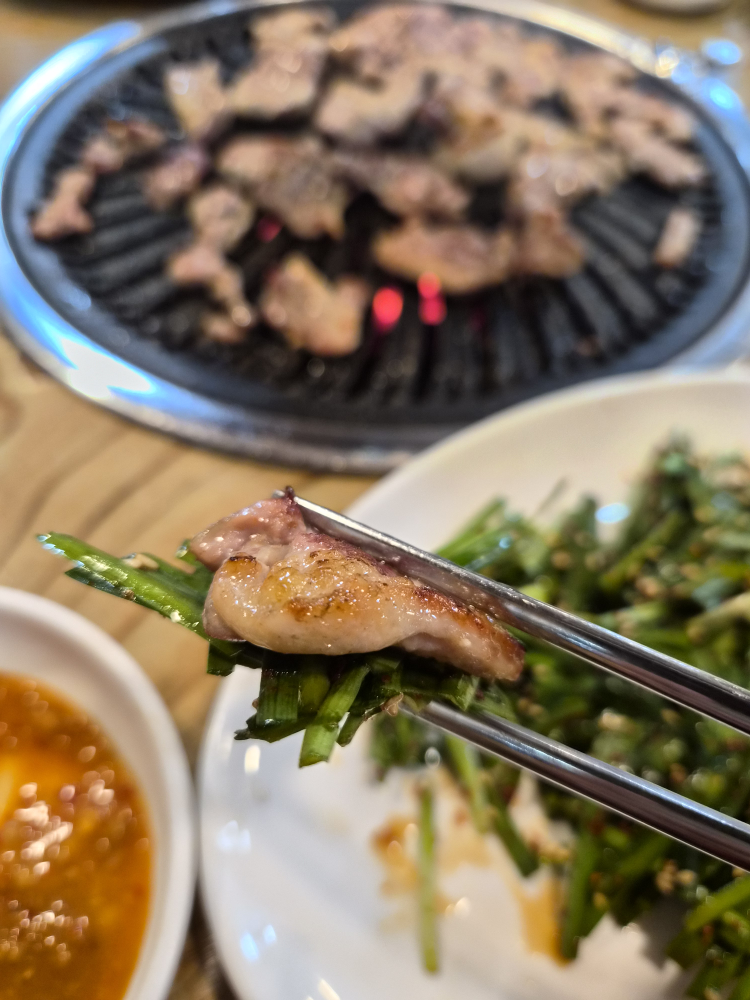 Nakdongsaengori (낙동생오리) 3