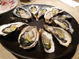 마토 사진 2