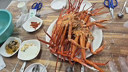 창백호선장네 홍게무한리필
