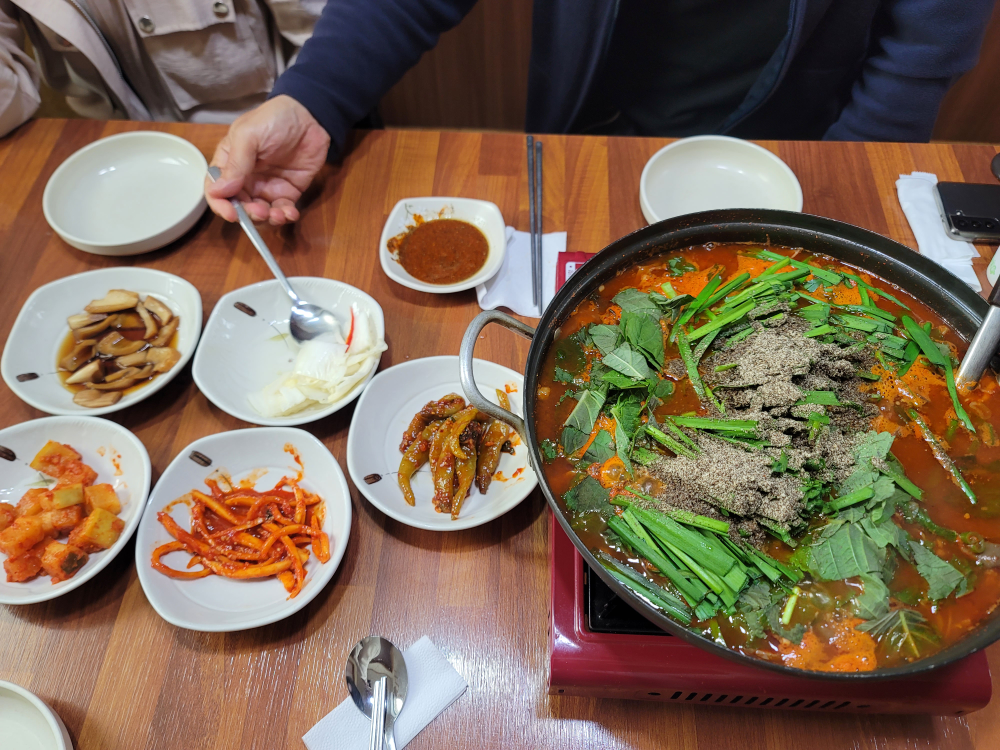 송원흑염소 1