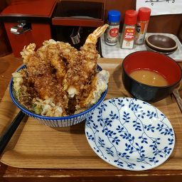 네코정 4