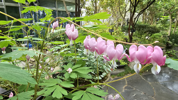 Jangdokdaejayeonsanbeoseotjeonmun 5