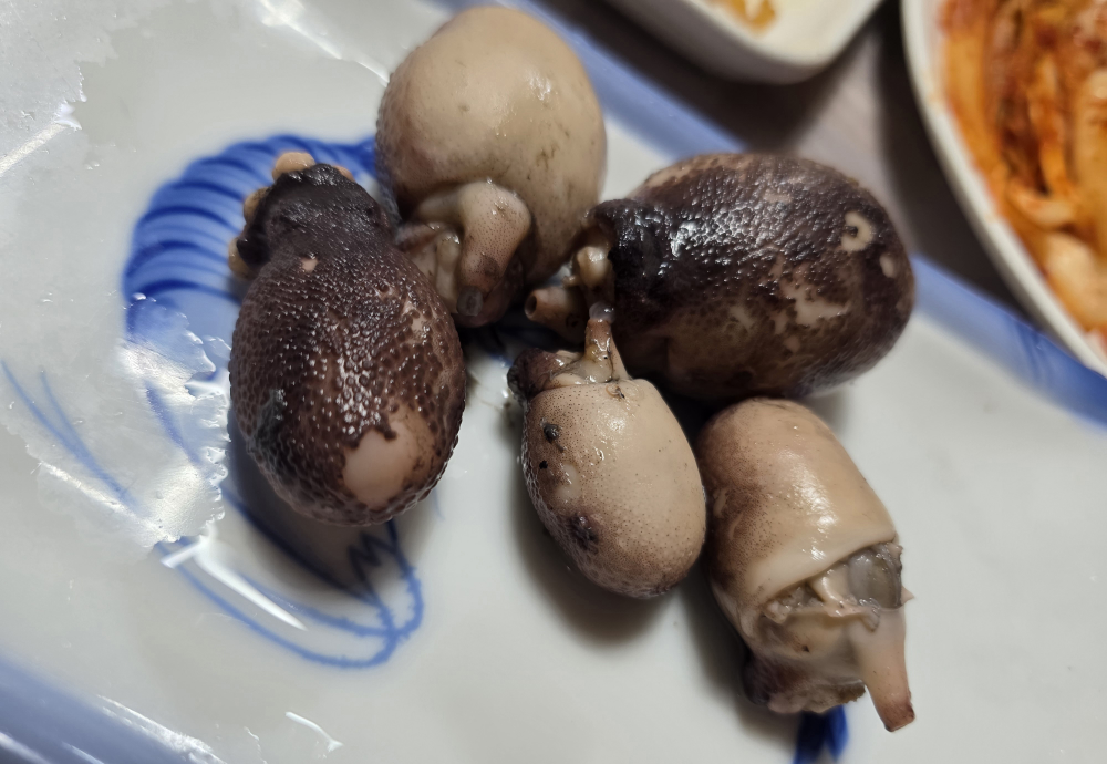 동백수산 6