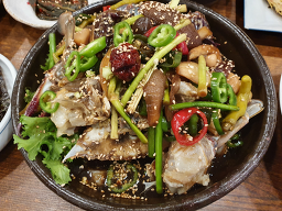 민들레 5