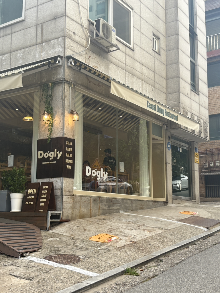 도글리 사진 5