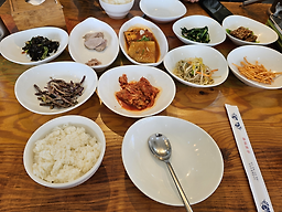 비비정가 5