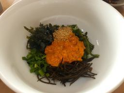 선인장 사진 8