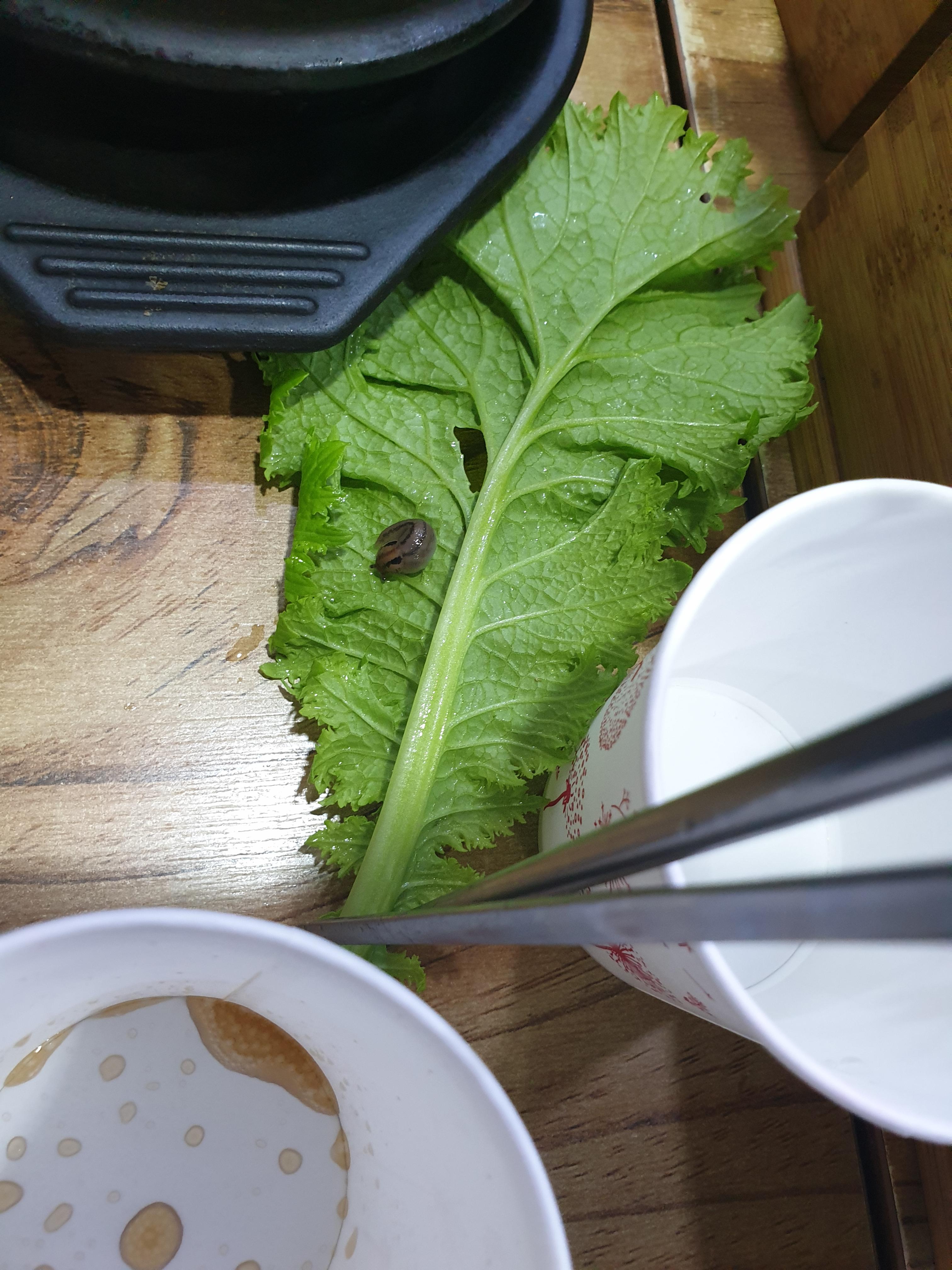 Hyeonsuksoraureongssambap 5