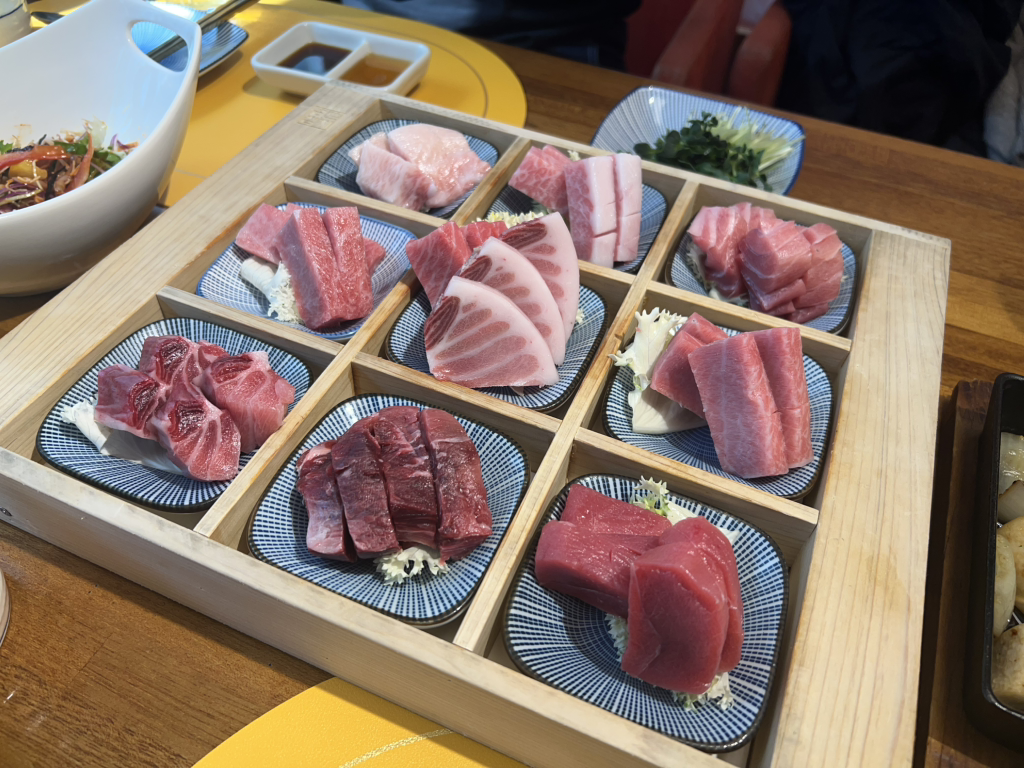 골드참치 사진 8
