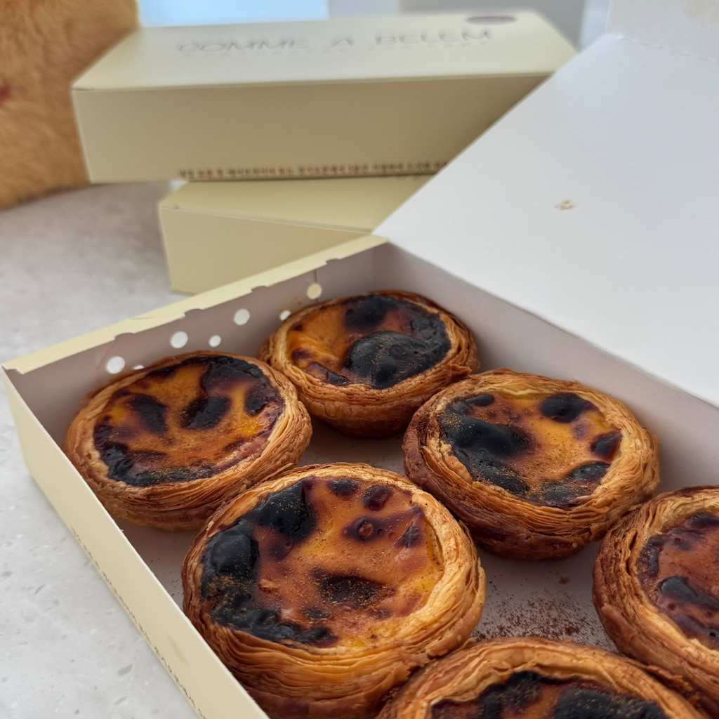 코메아벨렘 사진 8