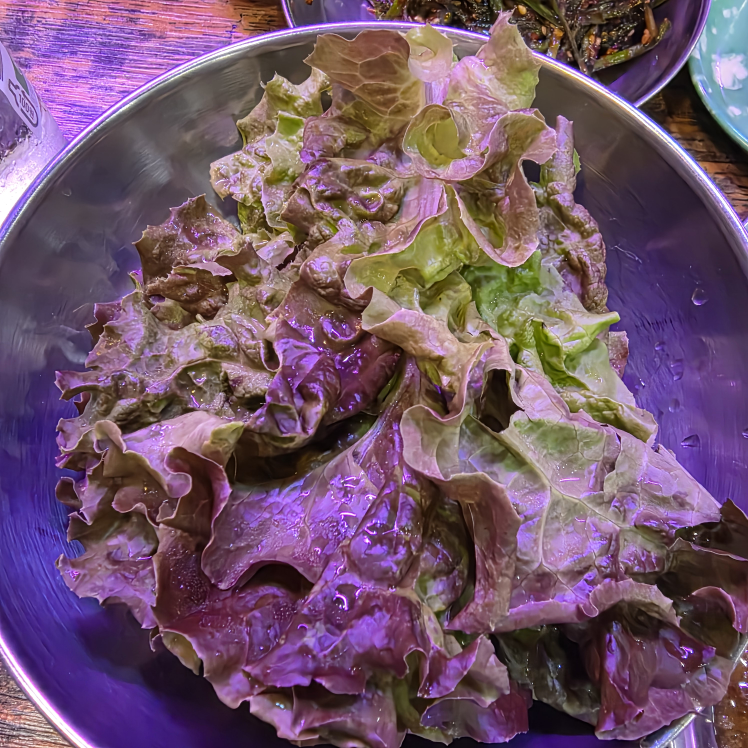 여우곱창 3