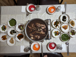 수목원 1