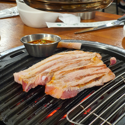 통통도야지 6